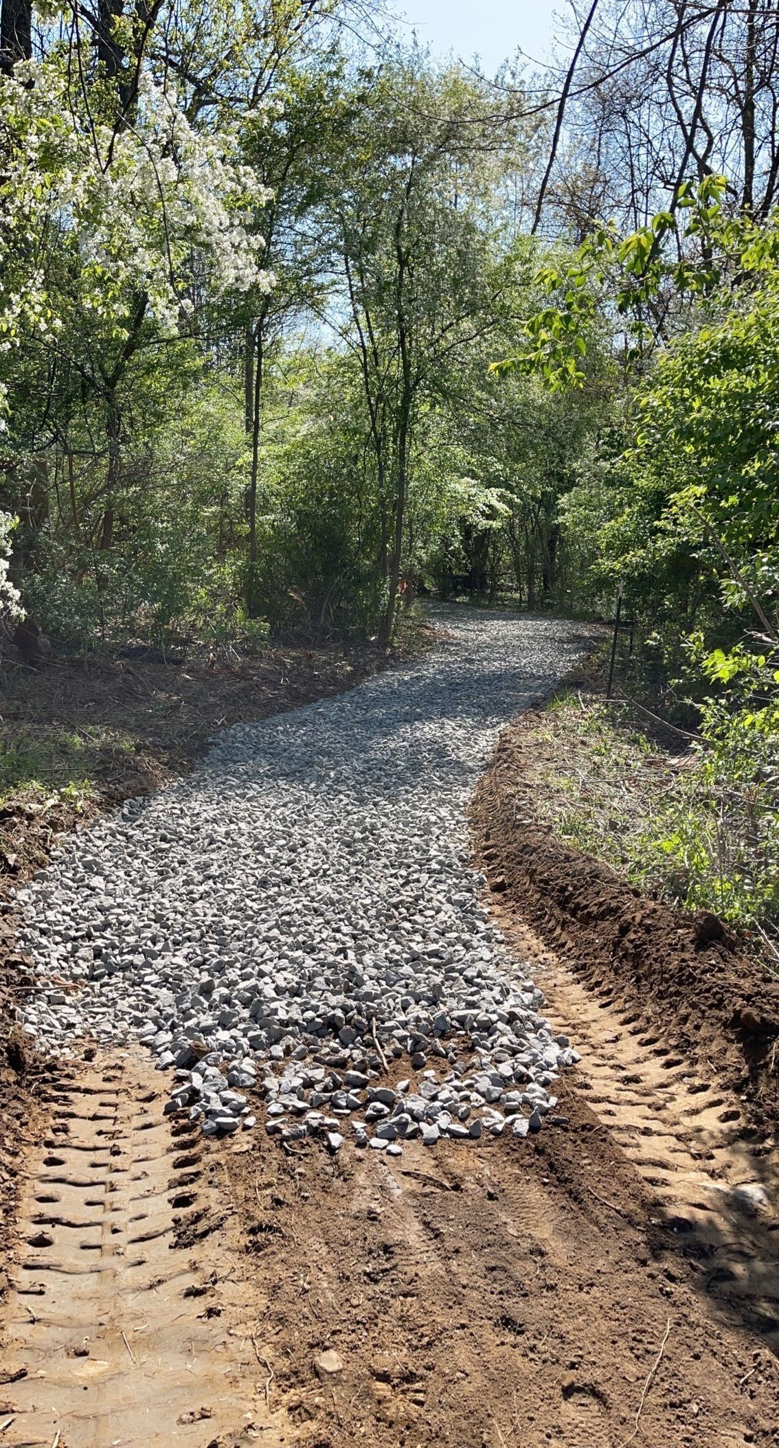 New Woodland Trail Construction