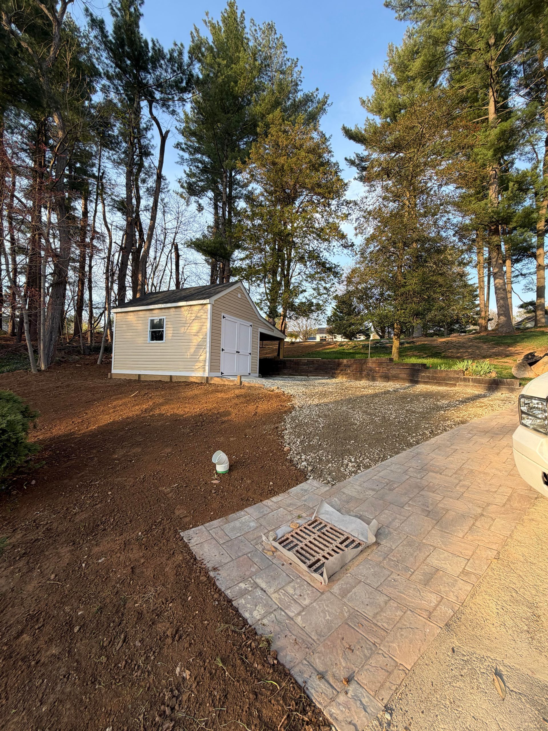Backyard with a small white shed, gravel path, and tall trees in autumn light