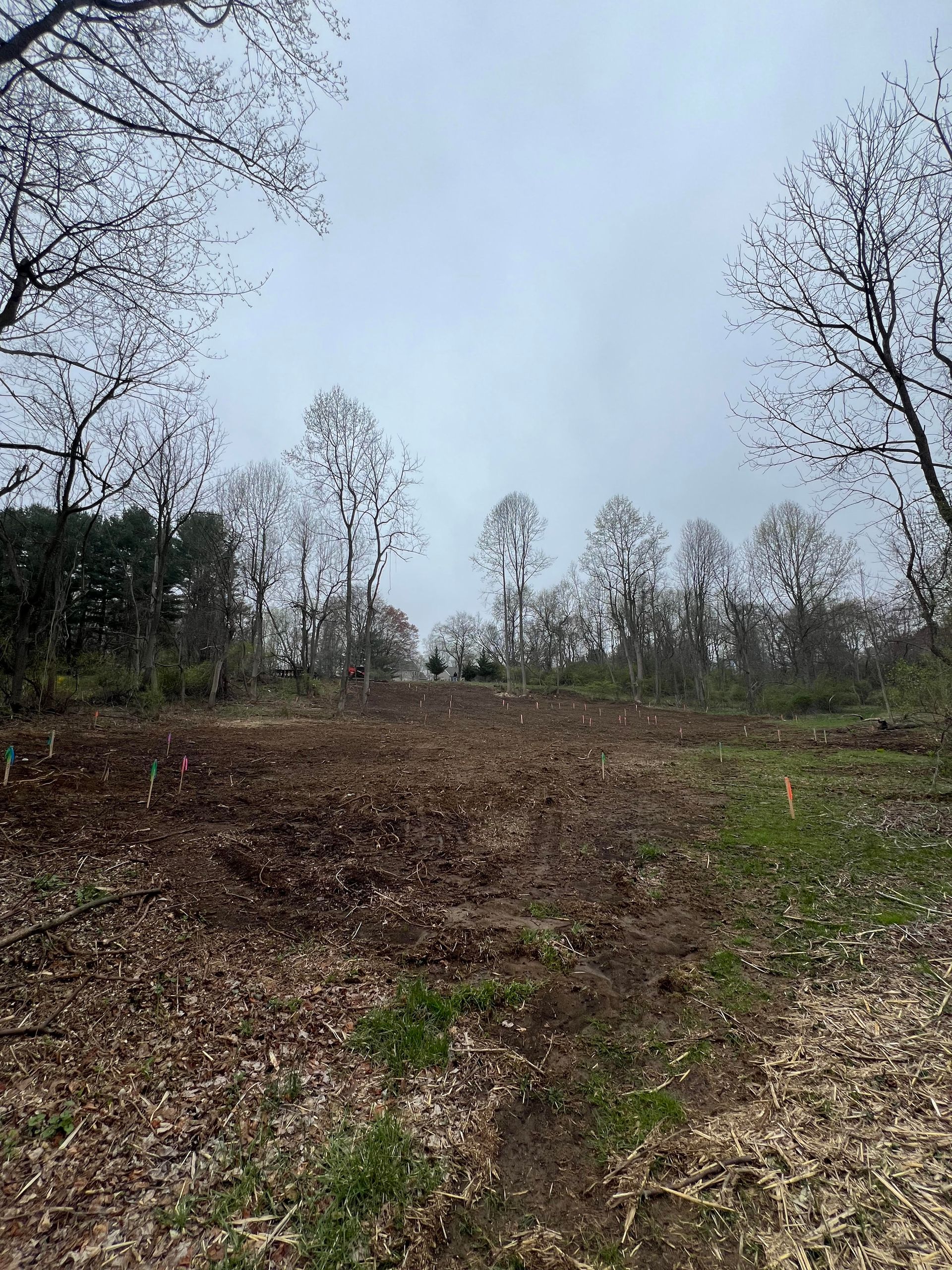 Bare winter field with leafless trees under an overcast sky