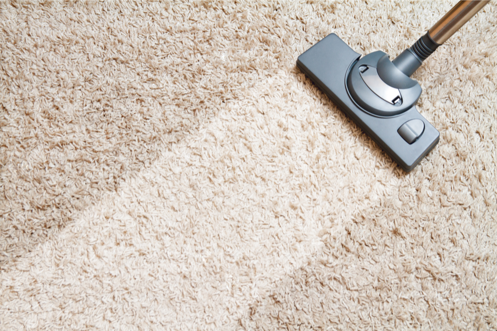 Carpet Using Eco Friendly Product