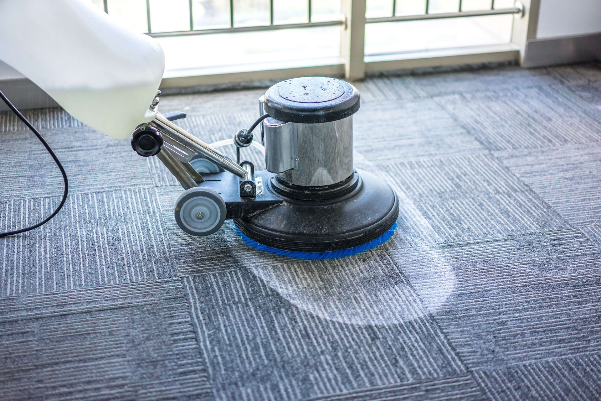 Steam Cleaning the Carpet Using Eco Friendly Product