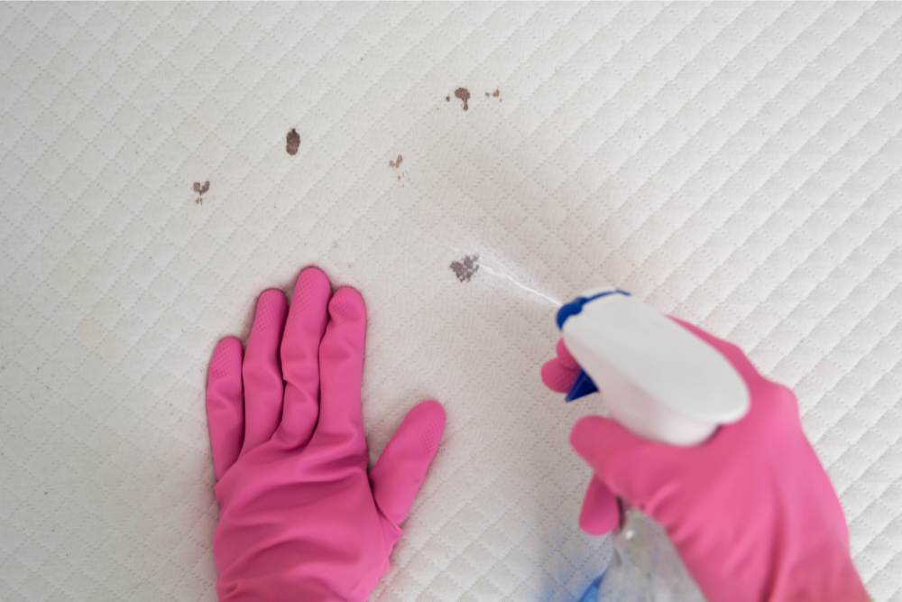 Clean Mattress