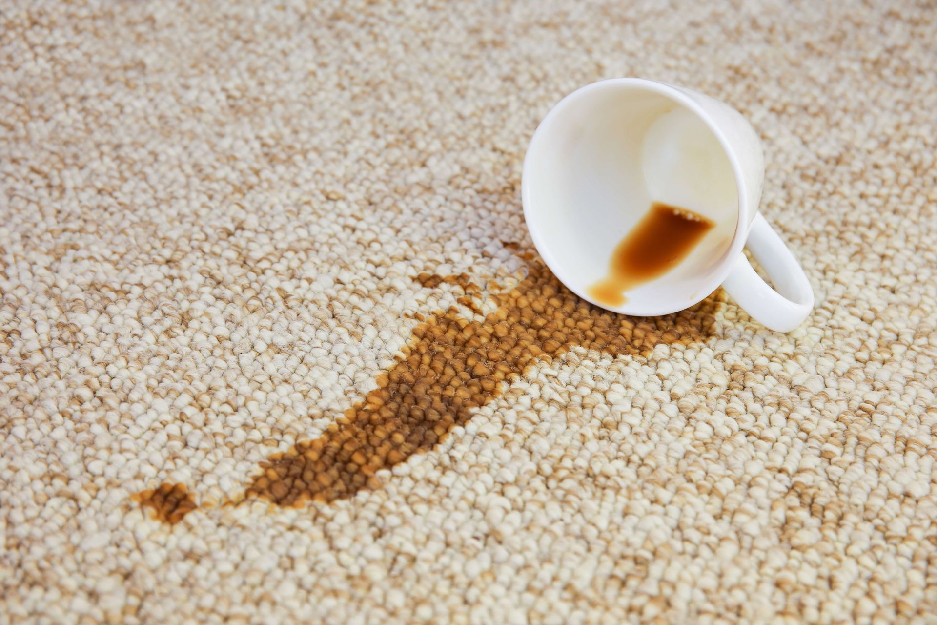 carpet cleaning