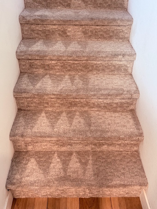 Carpeted staircase with brown patterned runner between white walls