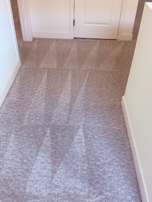 Beige carpeted hallway leading to white double doors