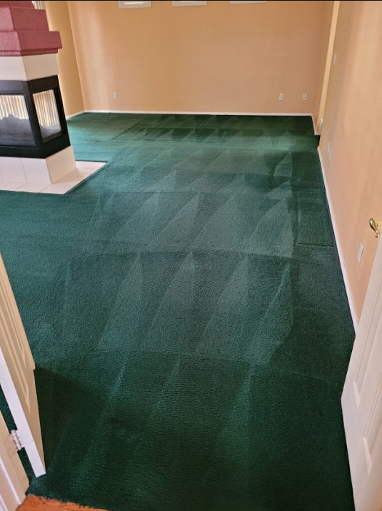 Green carpeted room with beige walls and a fireplace opening on the left.