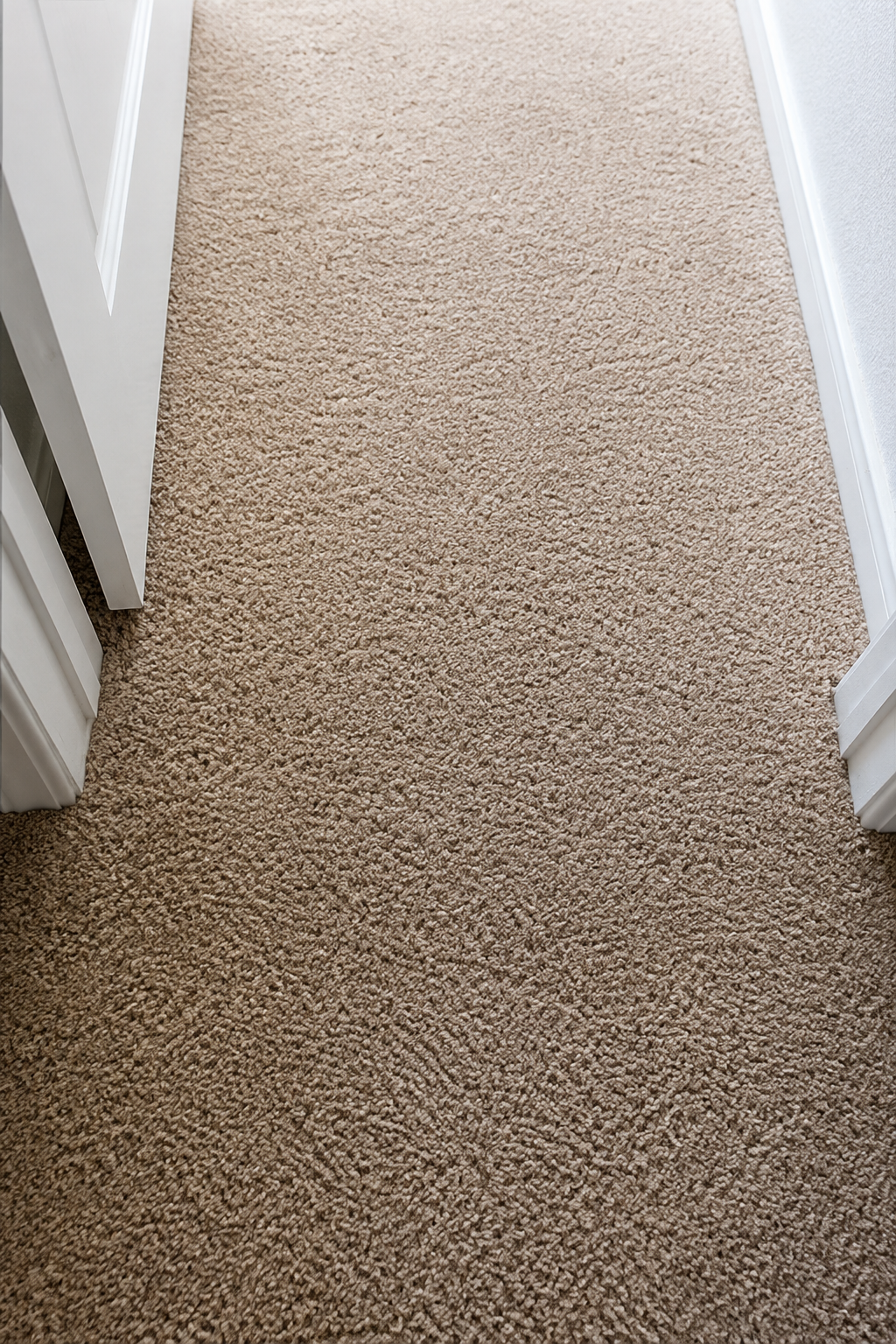 Beige carpeted hallway with white walls and doorways