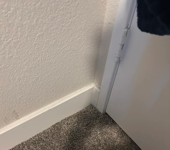 Close-up of a room corner with beige wall, white baseboard, gray carpet, and a white door ajar.
