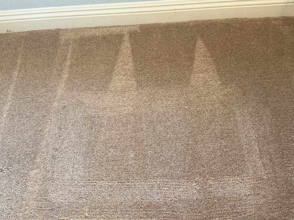 Beige carpet with several light-colored stains near a white baseboard