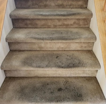 Carpeted staircase with dark stains on several steps, viewed from below.