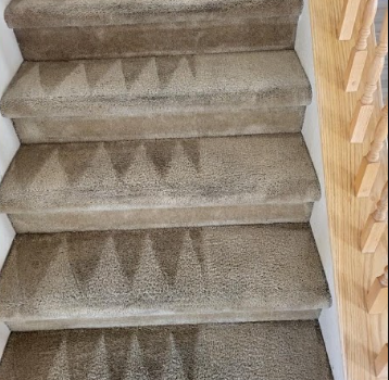 Carpeted staircase with beige steps and a wooden railing on the right