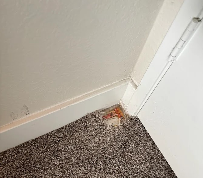 Corner of a carpeted room with baseboard damage and exposed orange material near a white door trim
