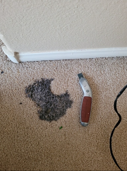 Dark stain on beige carpet beside baseboard, with a red-handled folding knife nearby.