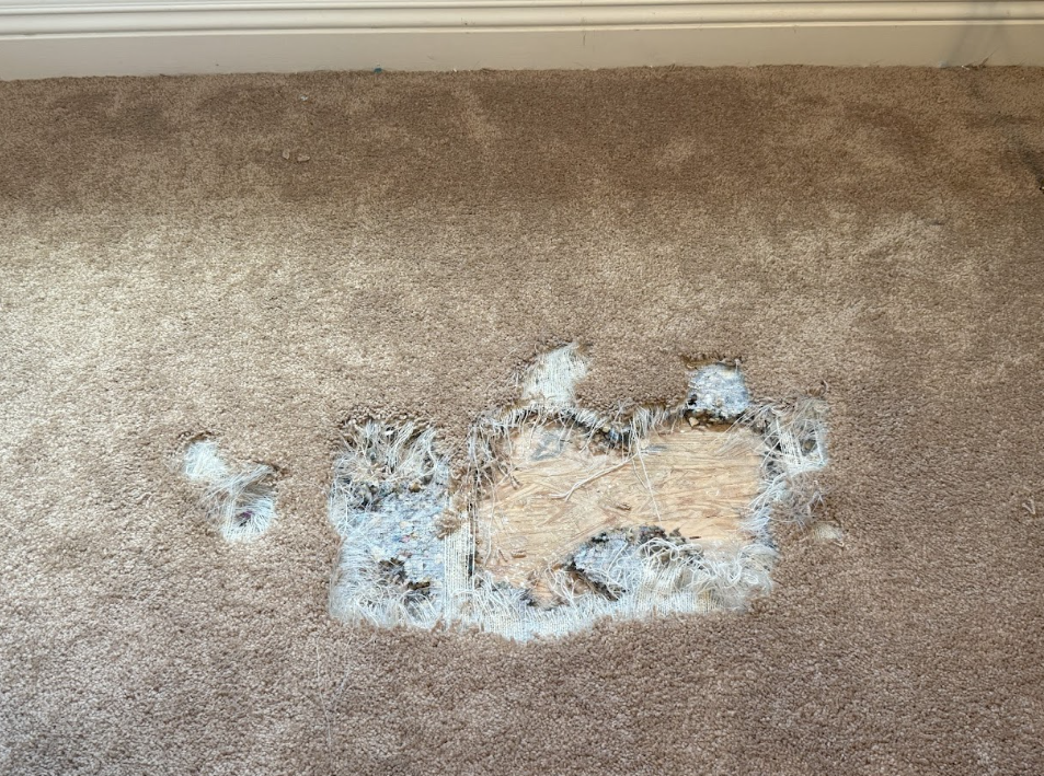 Tan carpet with a large white and beige stain or damaged patch near the wall trim