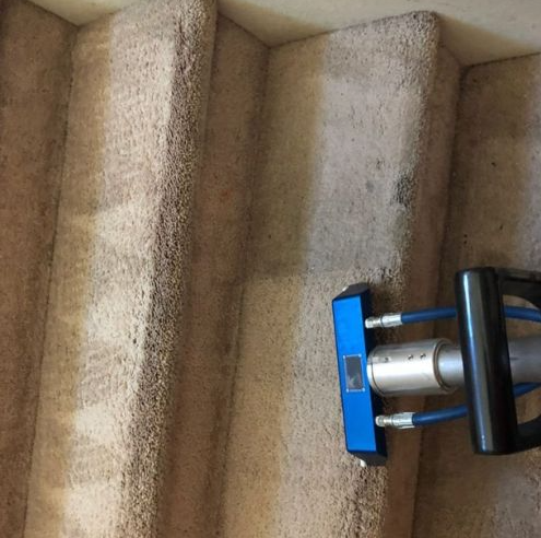 Deep-clean carpet service with vacuum in a bright living room, plus green eco-friendly text and icons