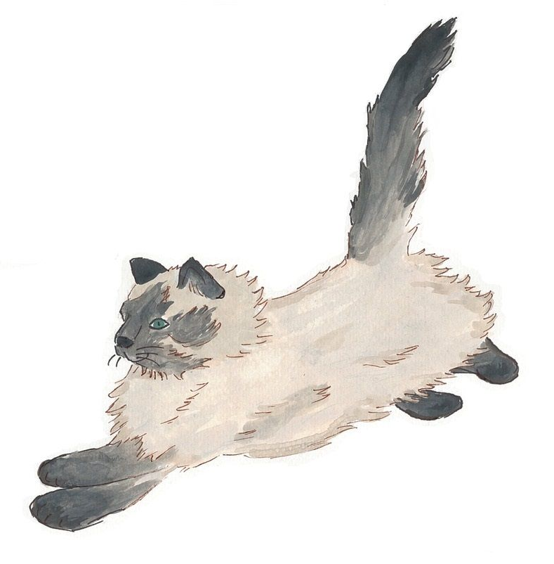 Kitty's friend Cleo the cat is featured in the Kitty Makes a Friend chapter in the brand-new book Tales of a Dog Named Kitty