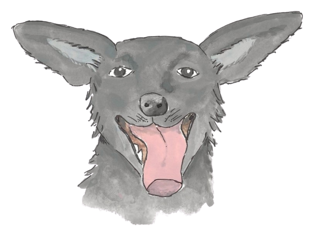 Kitty from Tales of Dog Named Kitty, a real-life, loveable pet from Minnesota