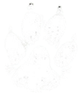 Kitty the dog's real-life paw print, as featured in the opening pages of the book Tales of a Dog Named Kitty