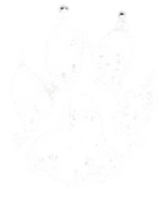 Kitty the dog's paw print is real, just like her stories in Tales of a Dog Named Kitty