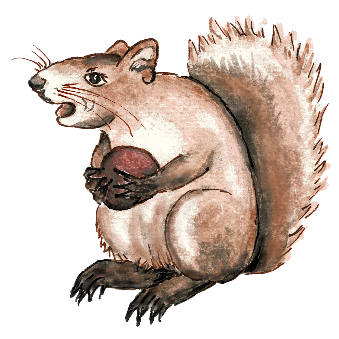 A squirrel is featured in the Kitty Catches a Squirrel chapter in the original kids chapter book Tales of a Dog Named Kitty