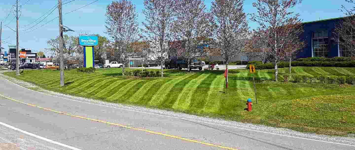 Commercial Landscaping Maintenance Guelph | Spicer Landscaping