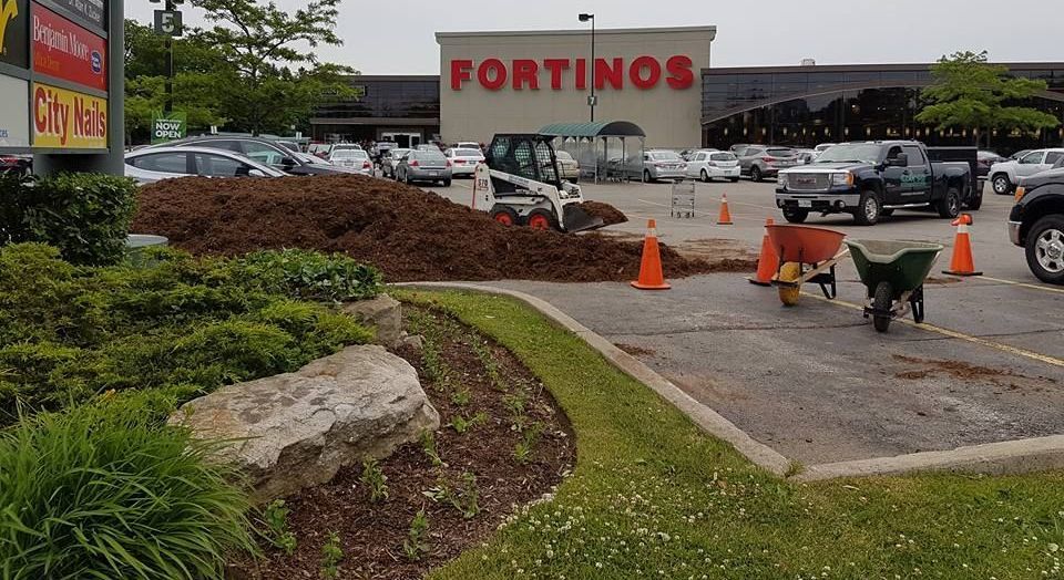 A skid steer loader sits next to a large pile of mulch in a Fortinos grocery store parking lot with orange traffic cones.