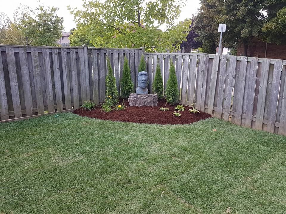 A stone Moai statue head sits in a mulched garden bed in a backyard corner, surrounded by small shrubs and cedar trees.