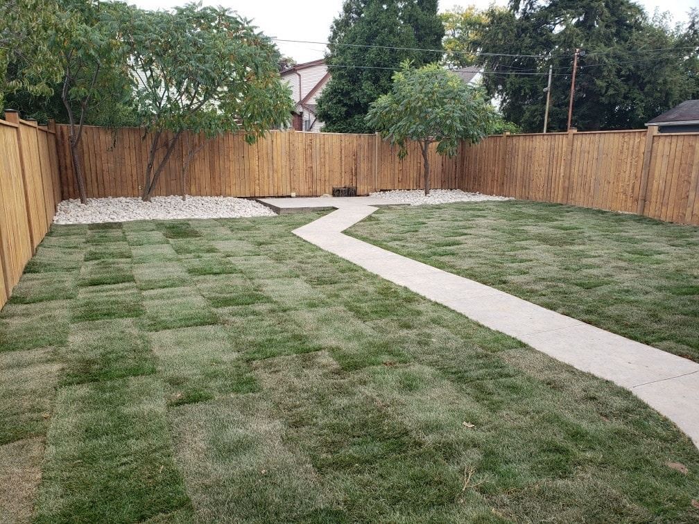 A newly installed backyard with patches of fresh sod, a winding concrete path, and a wooden privacy fence.