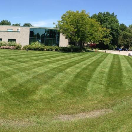 A large, well-manicured lawn with distinct mowing stripes in front of a modern office building and surrounding trees.
