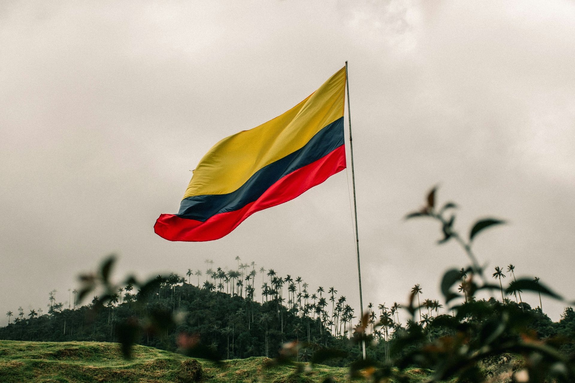 Bandera colombiana ondeando contra un cielo nublado sobre follaje verde oscuro