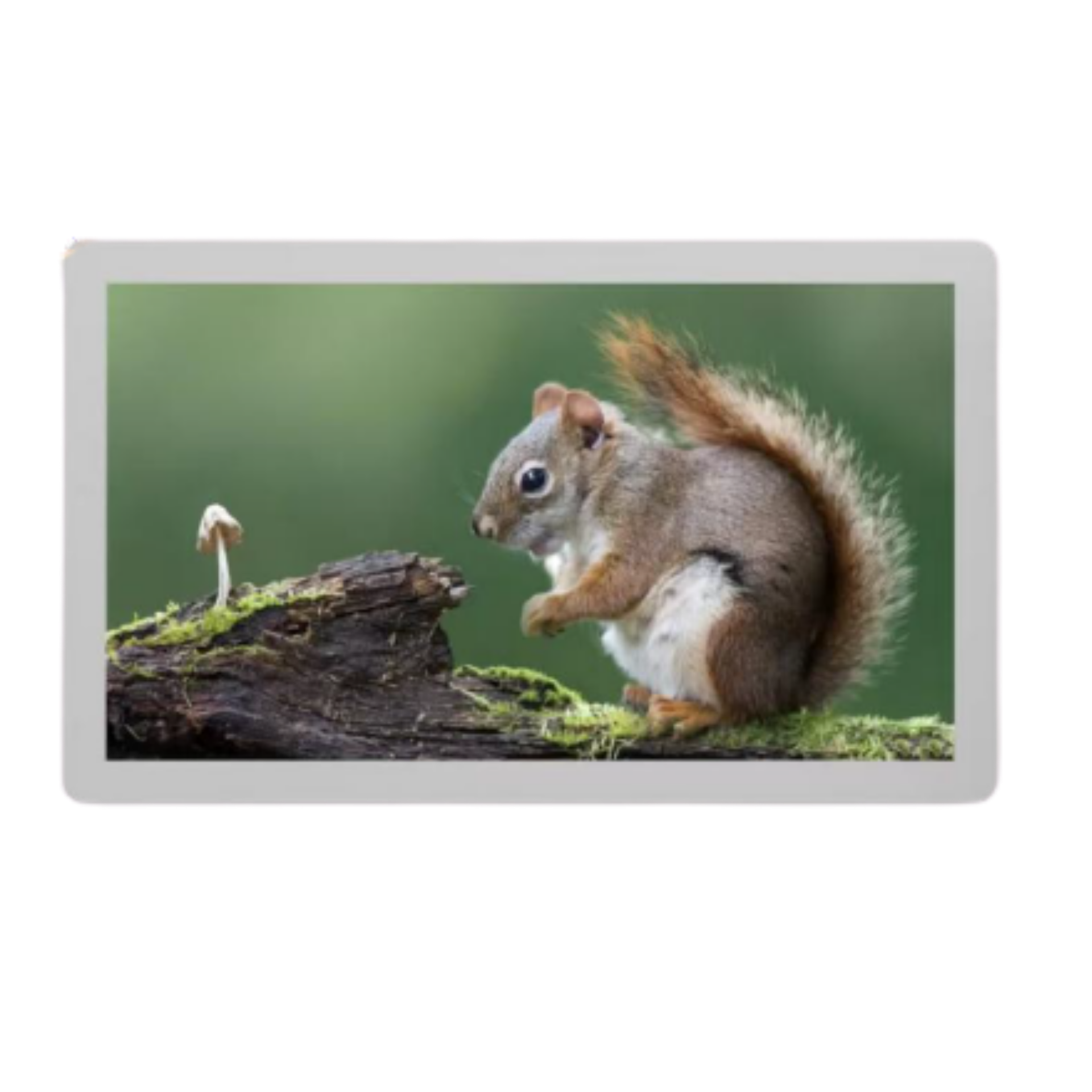 ACT POWER ESY-A2105 21.5-inch AIO Touch Display