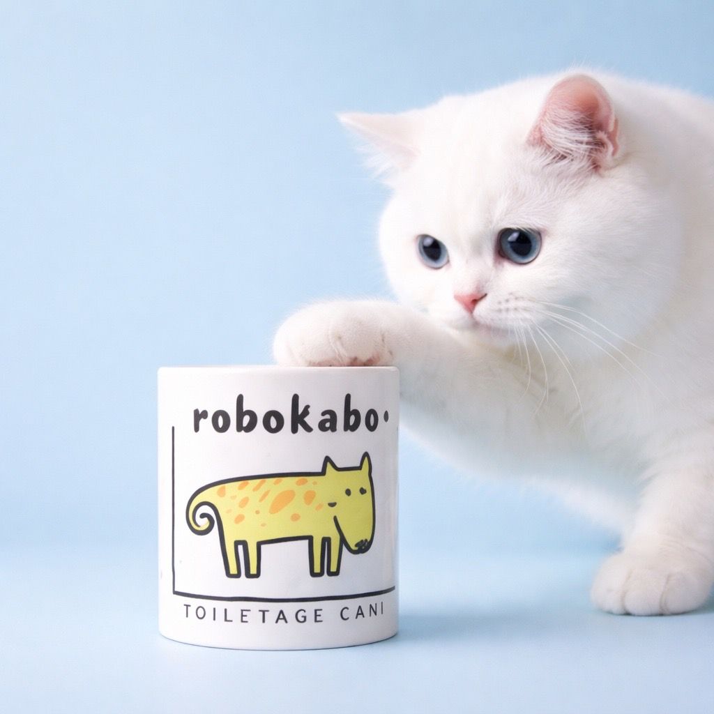 Chat blanc à côté d'un rouleau de papier toilette robokabo sur fond bleu pâle