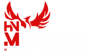 Logo rouge avec des ailes stylisées au-dessus des lettres HN M superposées.