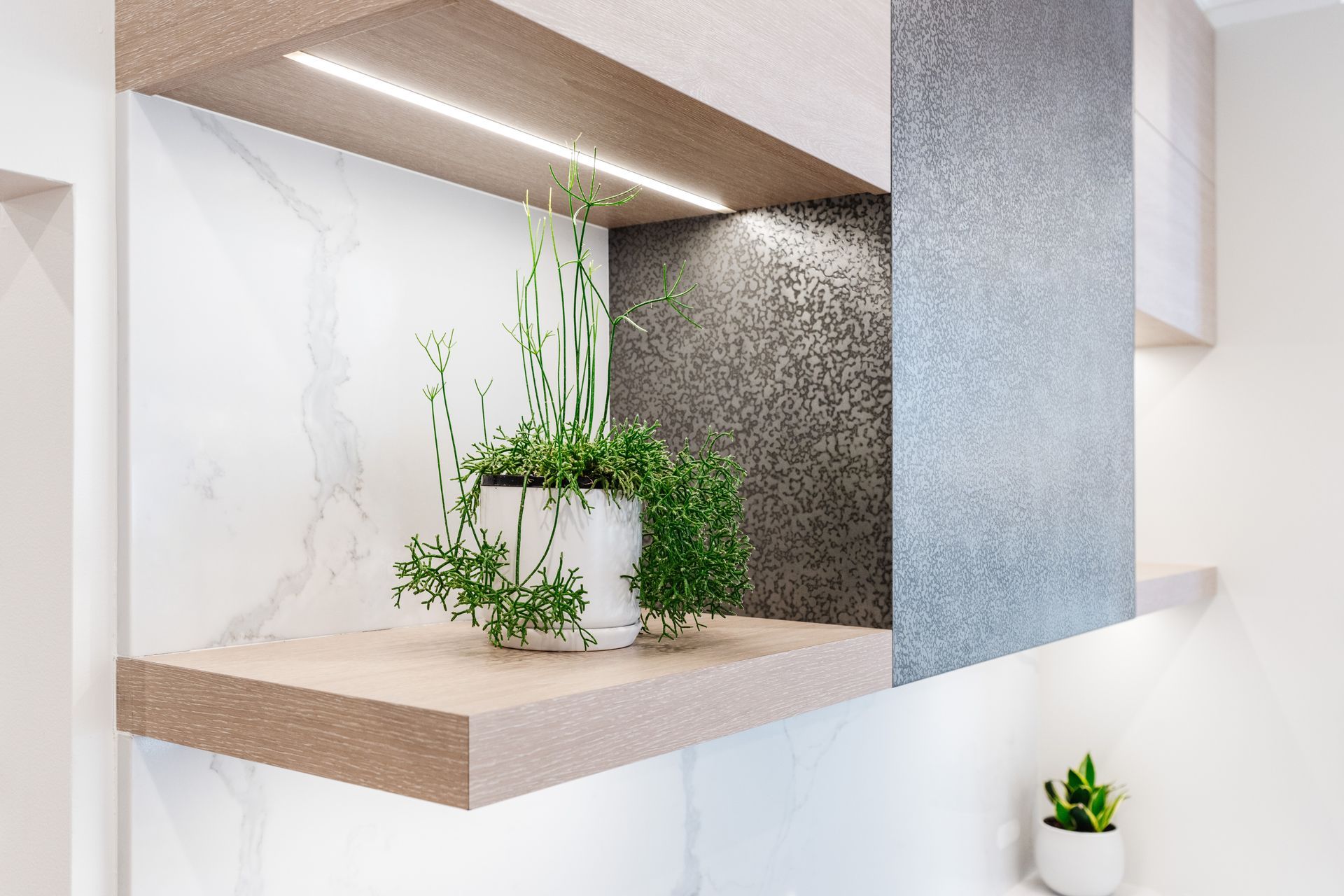Modern Built-in Shelf With Potted Green Plants — PKJ Design in Unanderra, NSW