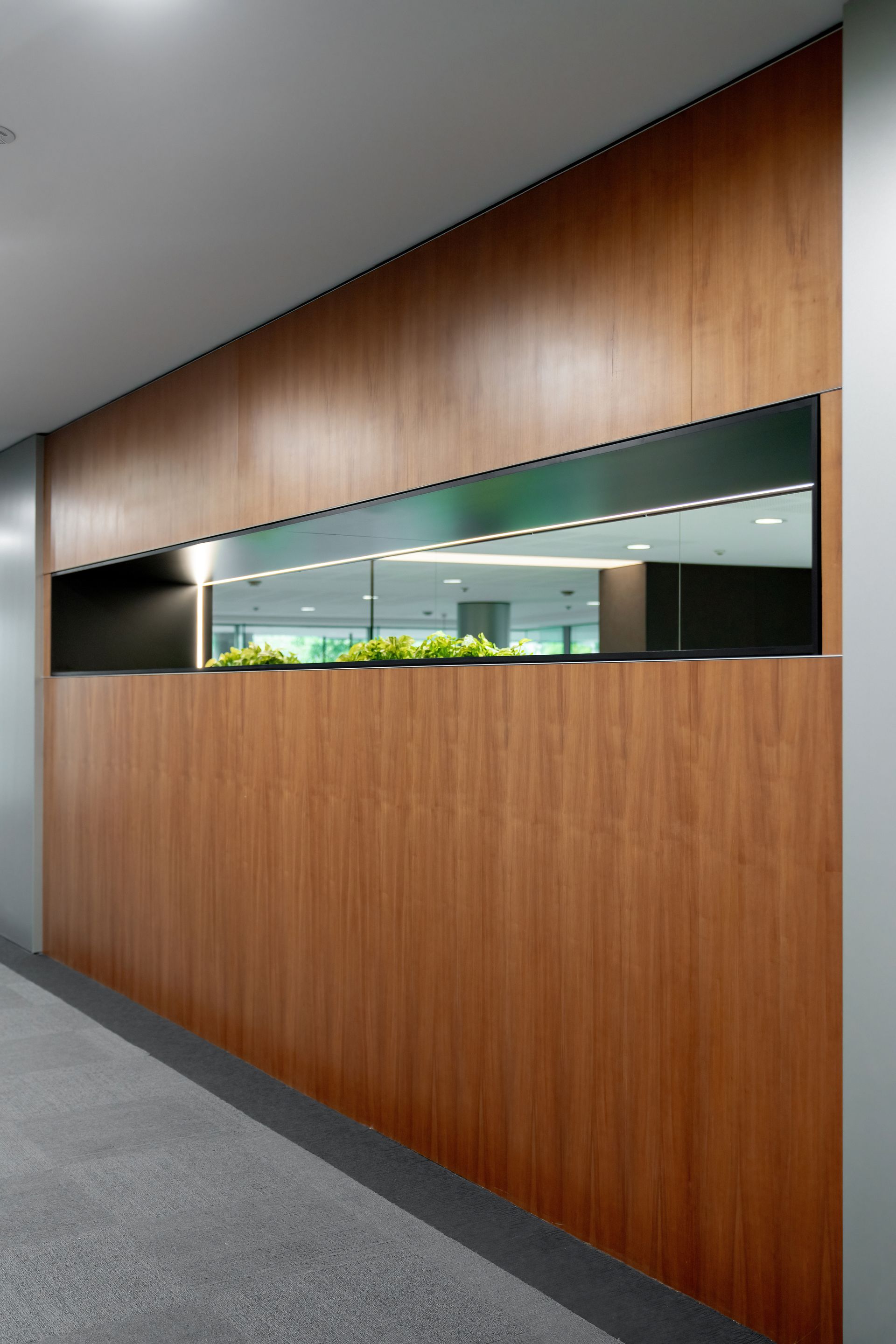 Modern Hallway With Wood-paneled Wall — PKJ Design in Unanderra, NSW