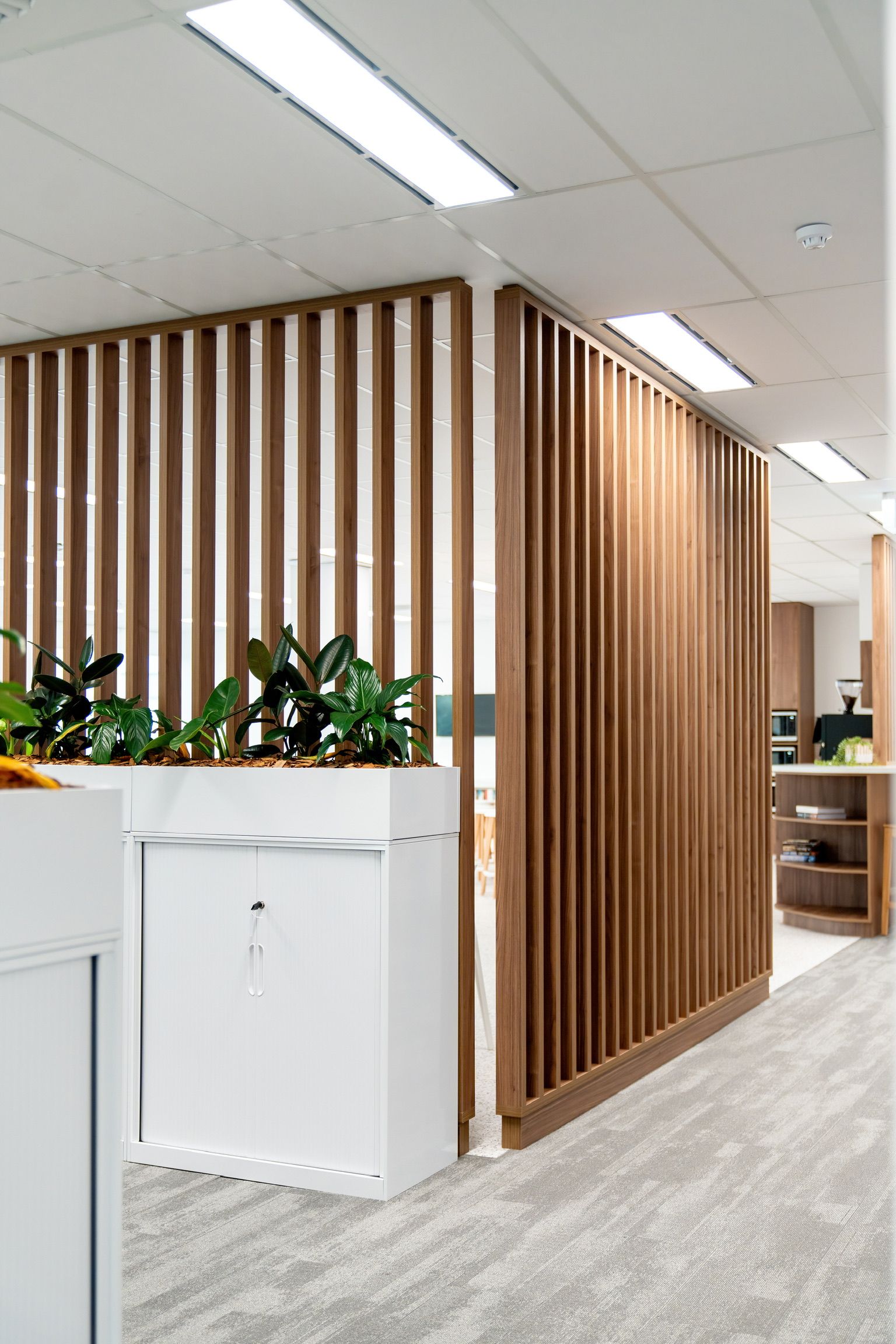 Modern Office Hallway With Wood Slat Partition — PKJ Design in Unanderra, NSW