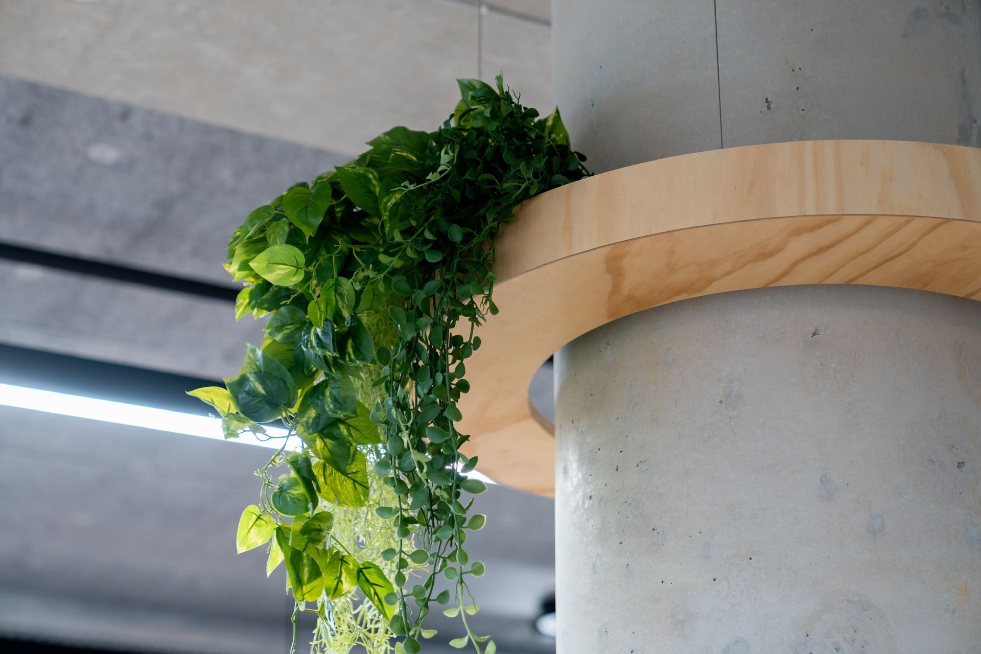 Green Hanging Plant Draped Over a Light Wood Ring — PKJ Design in Unanderra, NSW