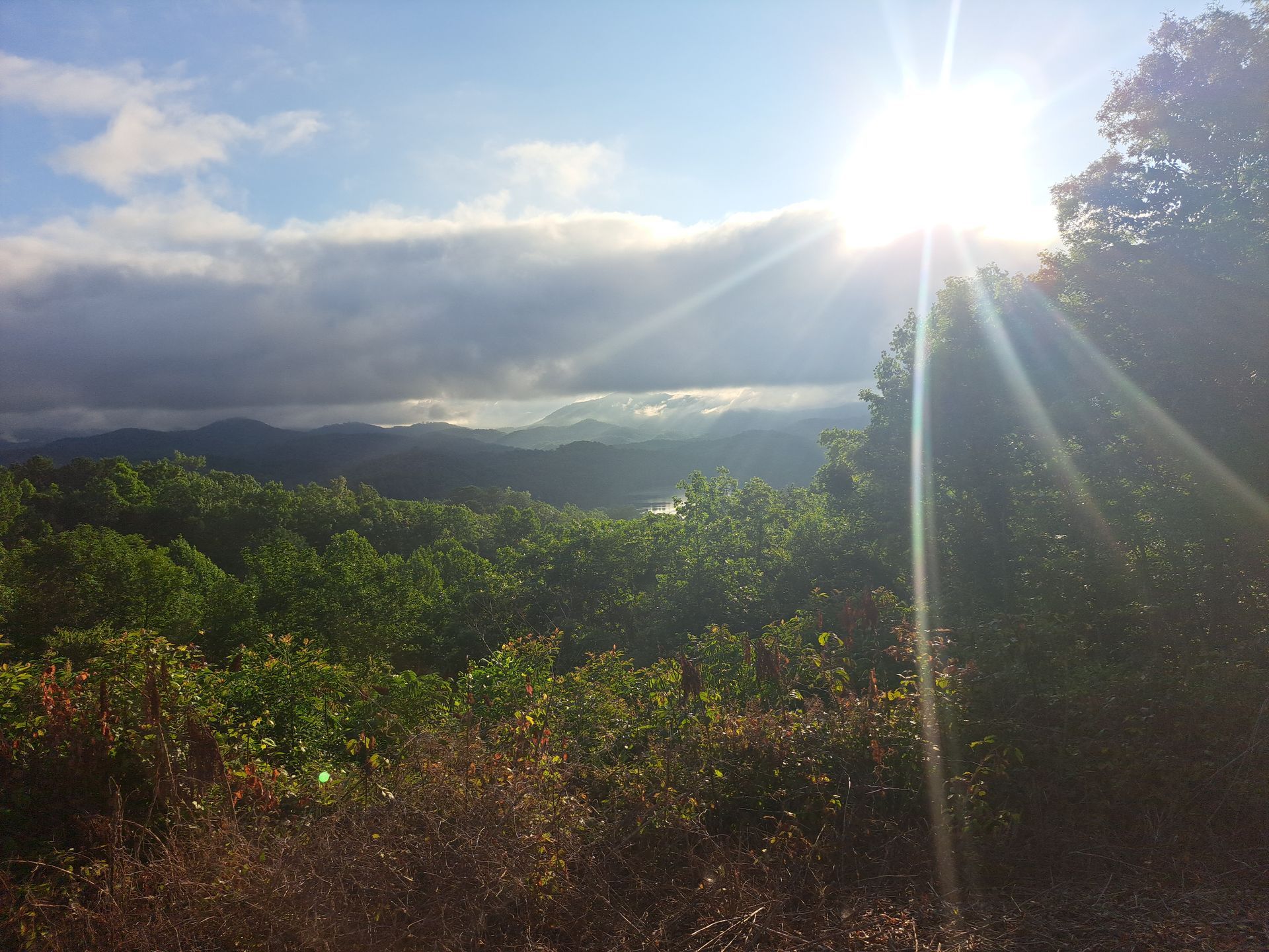 The sun is shining through the clouds over the trees