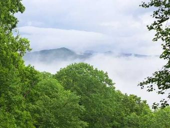 A view of a foggy mountain range through the trees.