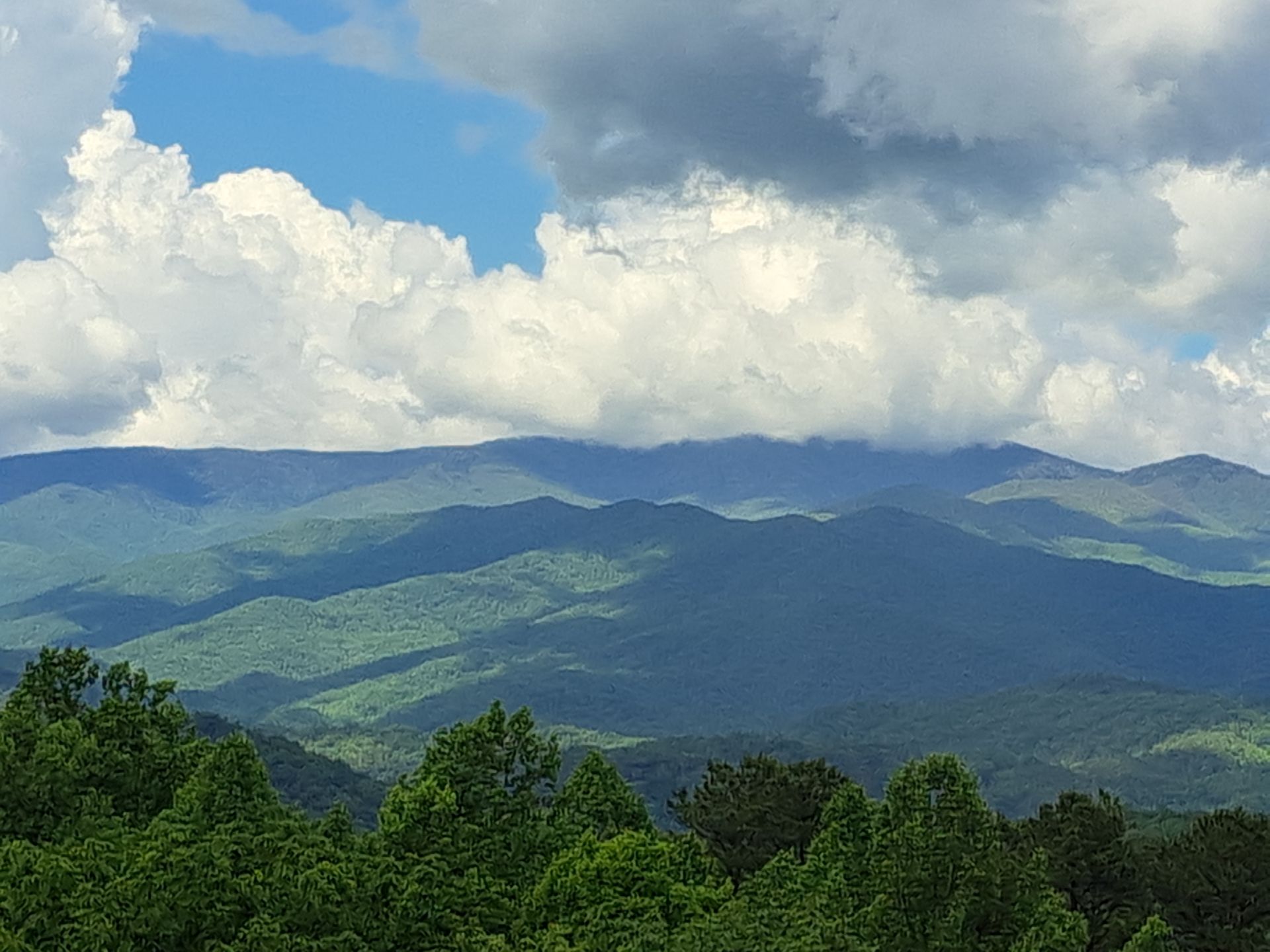 A view of  the Smoky Mountains with trees in the foreground and clouds in the sky.