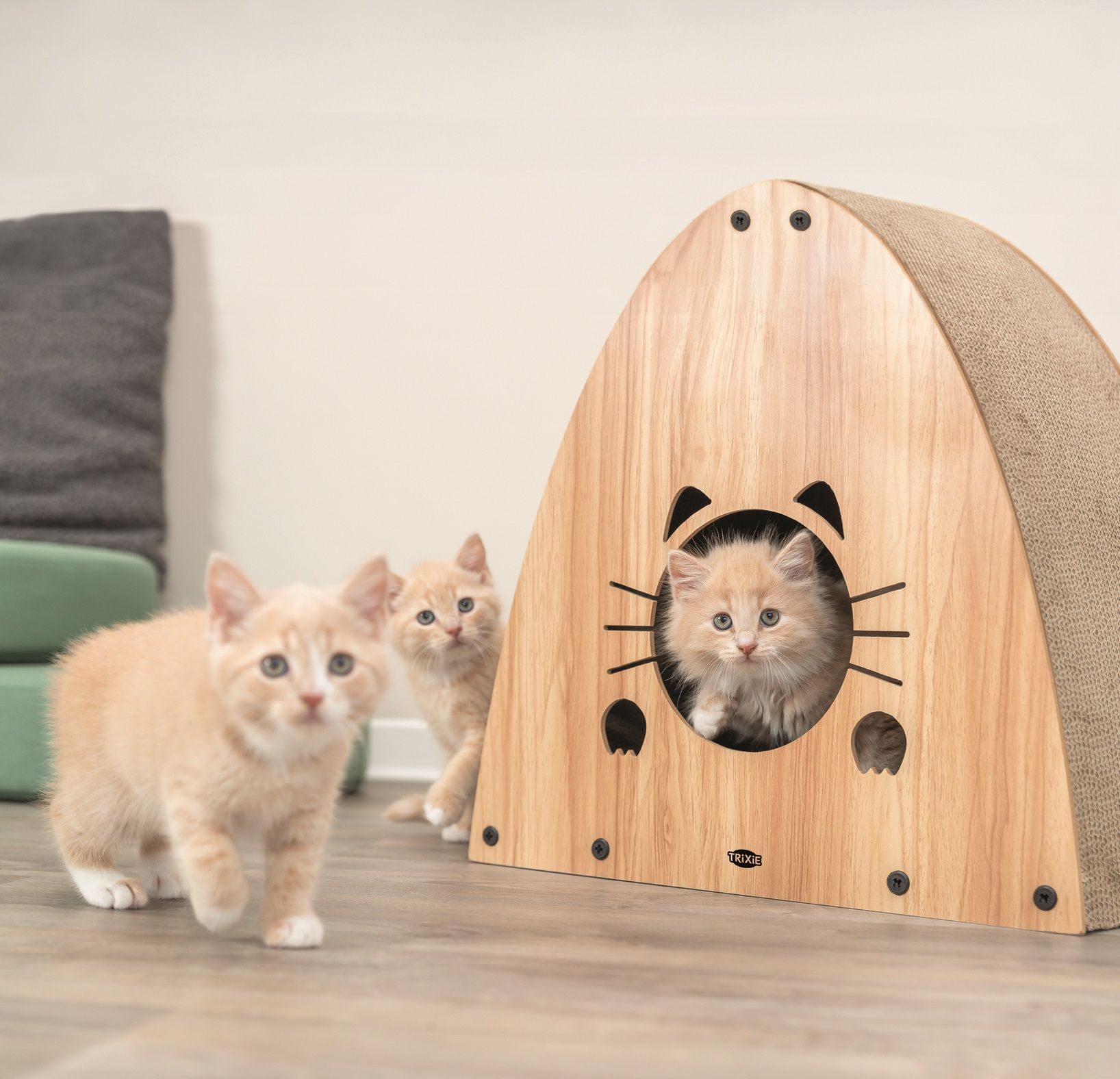 Deux chatons debout à côté d'une maison de chat en bois