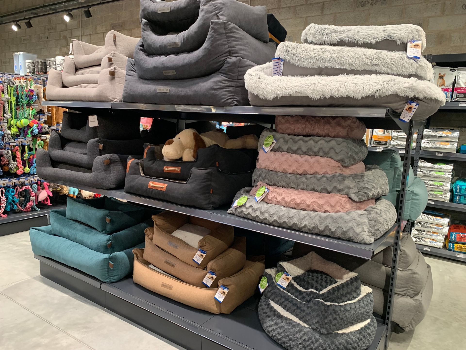 Une étagère remplie de nombreux lits pour chiens dans un magasin.