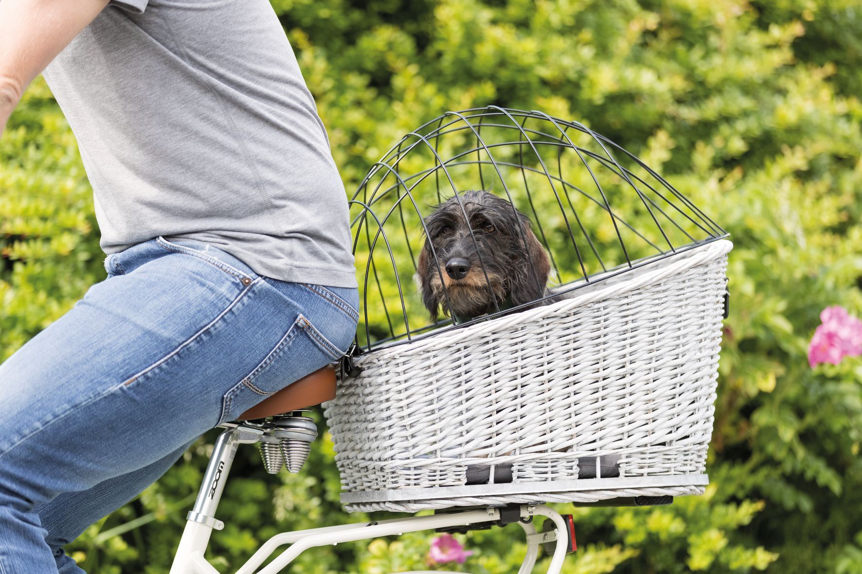 Une personne fait du vélo avec un chien dans un panier.