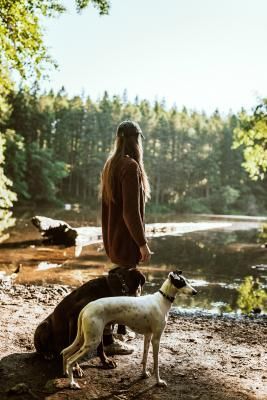Une femme se tient debout à côté de deux chiens sur la rive d'un lac.