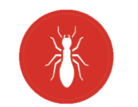 Ants Icon