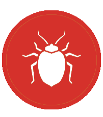 Bed Bugs Icon