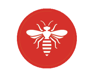 Carpenter Bees Icon