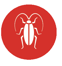 Carpenter Bees Icon