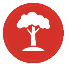 Trees Icon