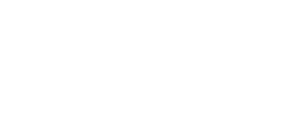 Empty white image with a thin black horizontal line near the bottom and a thin black vertical line at the left edge